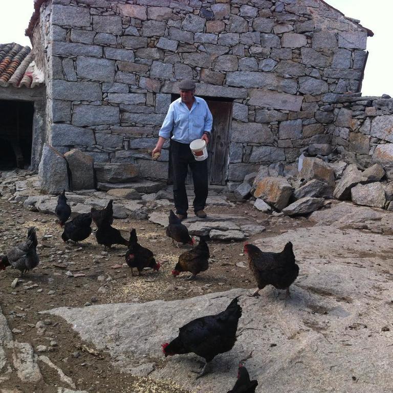 Gallegos De San Vicente Casa Rural El Linaje De Los Cinco Sombreros מראה חיצוני תמונה